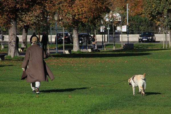 How can I create a comfortable space for my cat to sleep and rest?