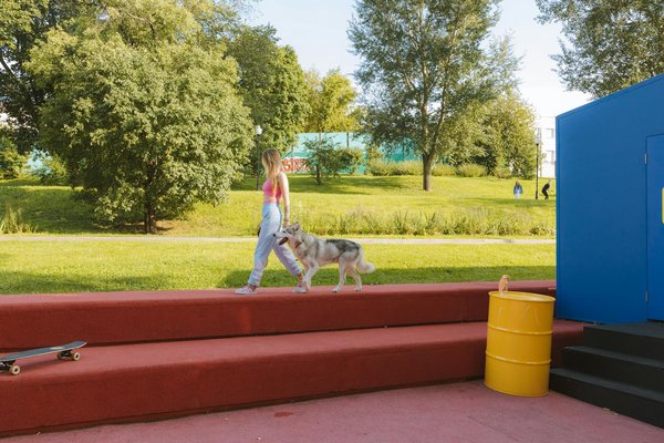 The complete handbook for tracking fitness activities for your lively australian cattle dog